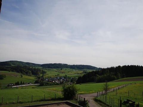 Summerhalde