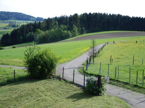 Summerhalde