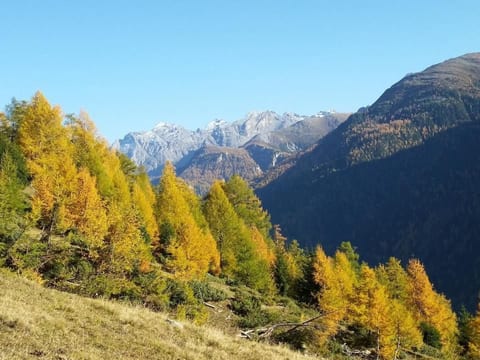 Wohnung mit atemberaubender Aussicht