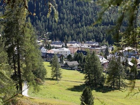 Alpine Lodge 4-Bett-Wohnung Chesa Plattner / "Be