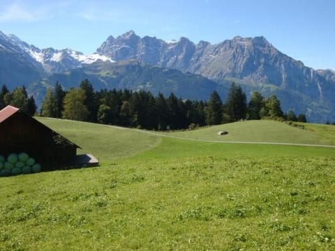 Ferien im grünen links