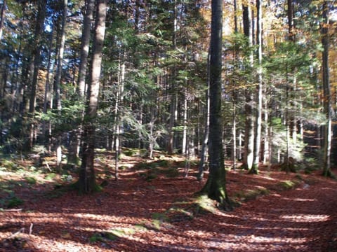 Dein Erlebnis