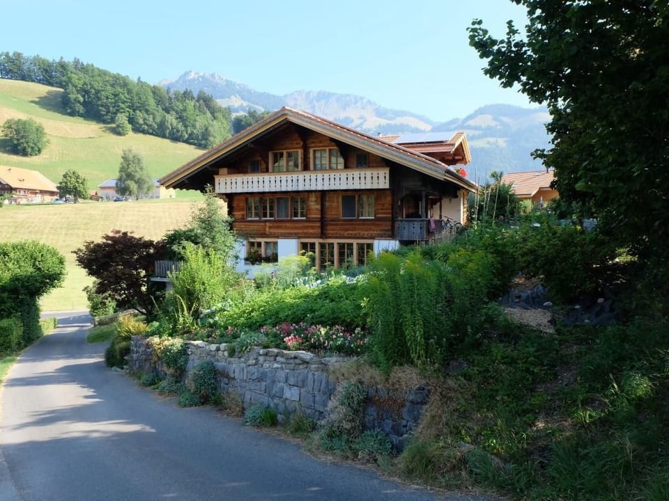 Chalet Ried - Diemtigen