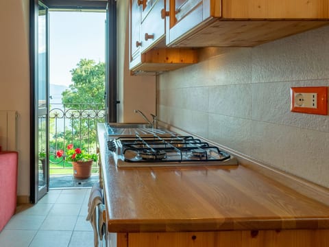 Studio-Apartment mit Balkon mit Seeblick und Zugang zum Garten