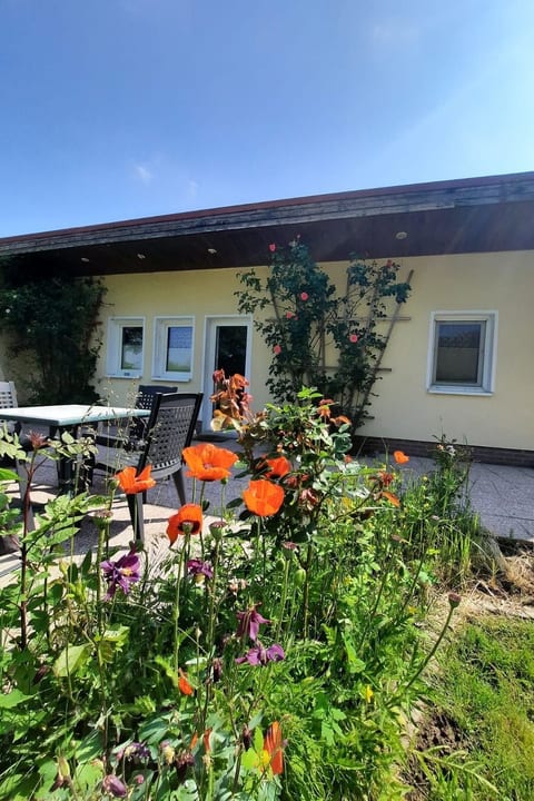 in Dahmen Terrasse und Grill