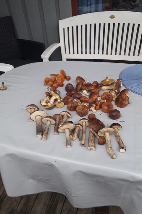 in Granzow mit Terrasse