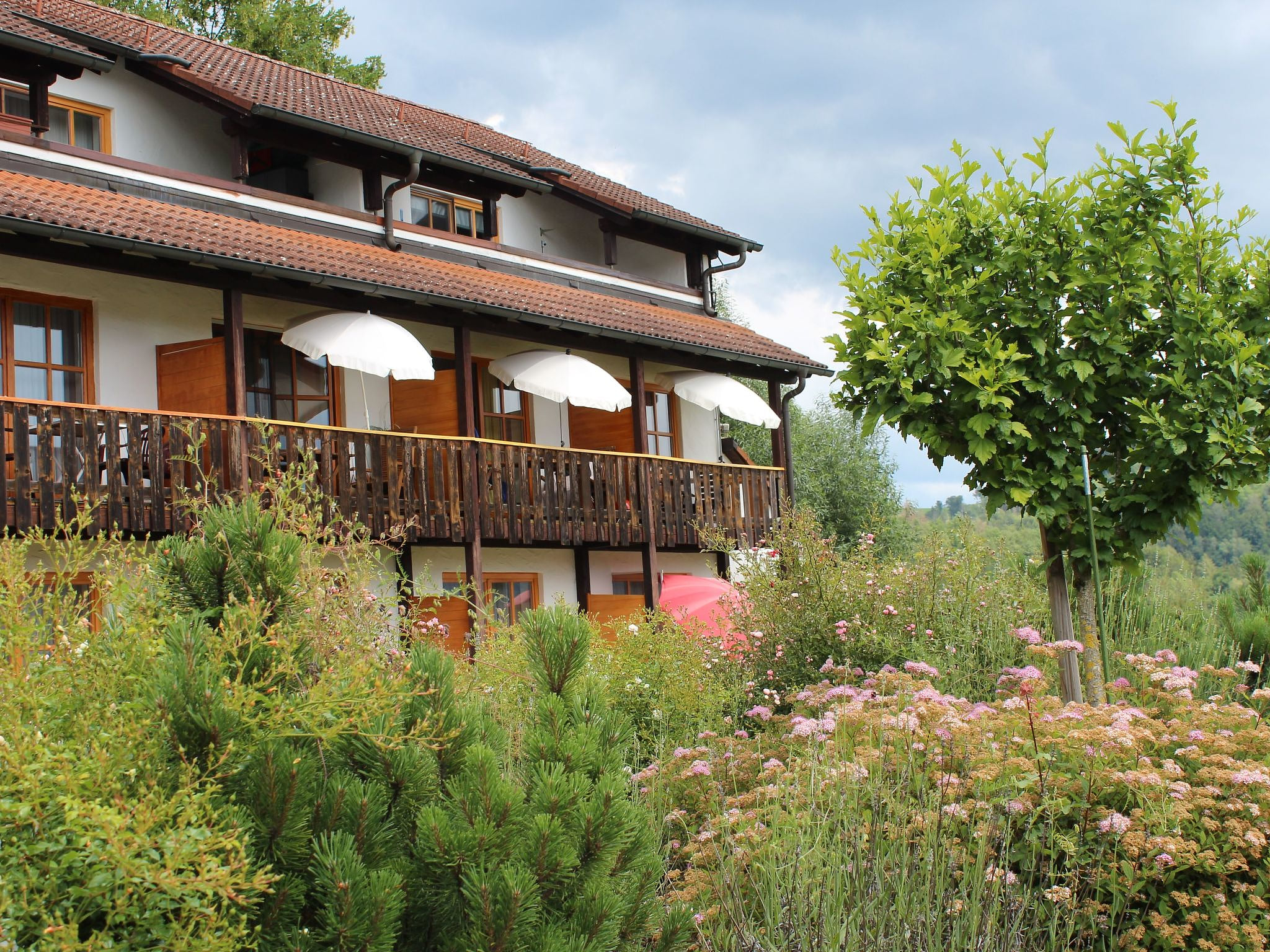 Gemütliche Ferienwohnung mit Blick auf die Donau