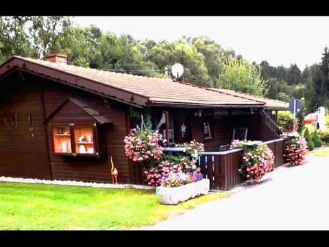 Tamara in Eppenschlag