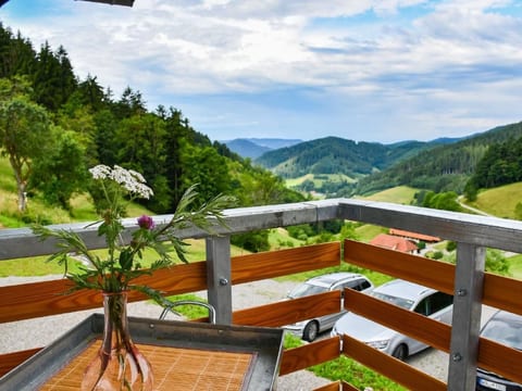 FeWo mit Whirlpool und Infrarotsauna