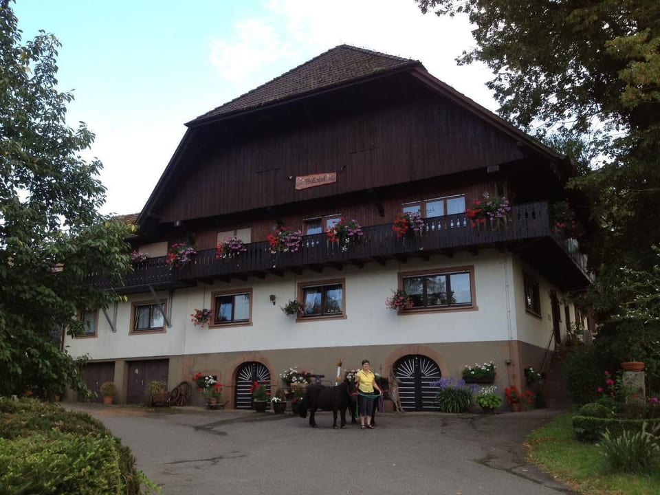 Appartement à Unterharmersbach avec jardin et barbecue - Zell