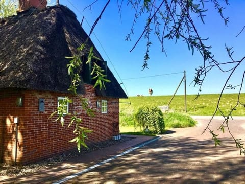 Reetdachhaus für erholsamen Familienurlaub
