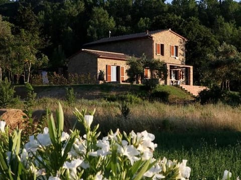 in Montescudaio mit Großem Garten