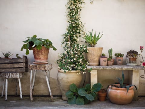 Wohnung 'Nuvole Barocche' mit Balkon