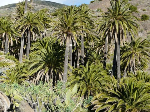 Finca mit Wasserblick