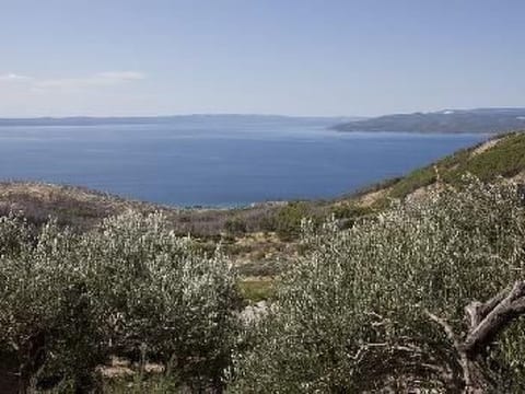 Bella Vista