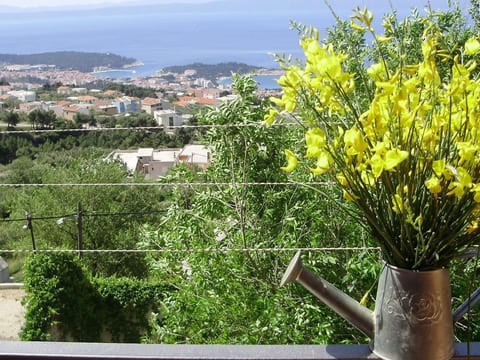 Bella Vista