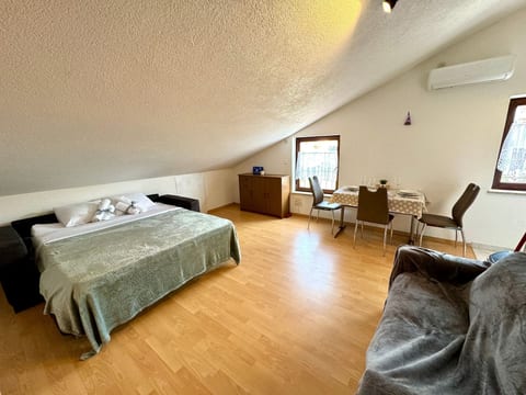 Studio apartment Vida