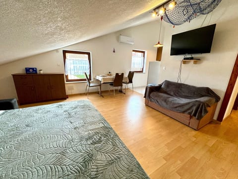 Studio apartment Vida