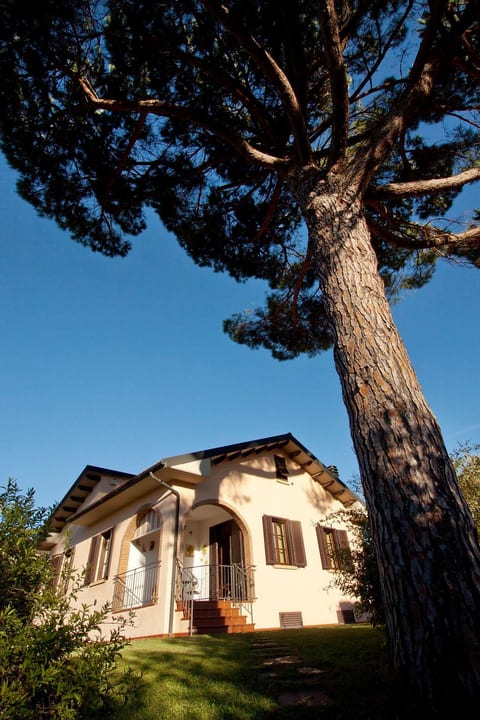 Campo del Rosario
