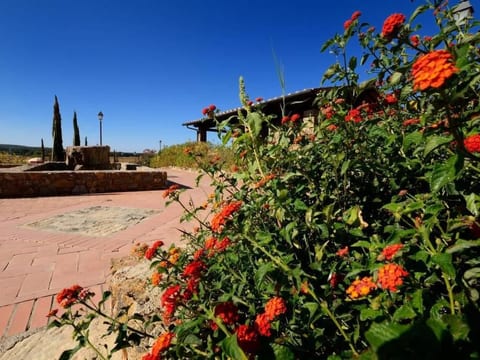 Zwei-Zimmer-Wohnung mit Garten