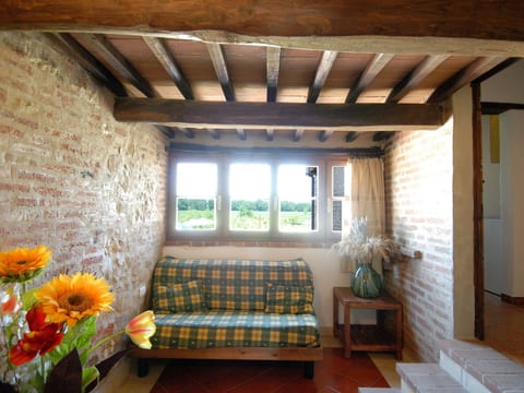 Rotreiher-Urlaub am Trasimeno-See