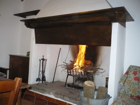 Rotreiher-Urlaub am Trasimeno-See