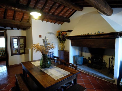 Rotreiher-Urlaub am Trasimeno-See