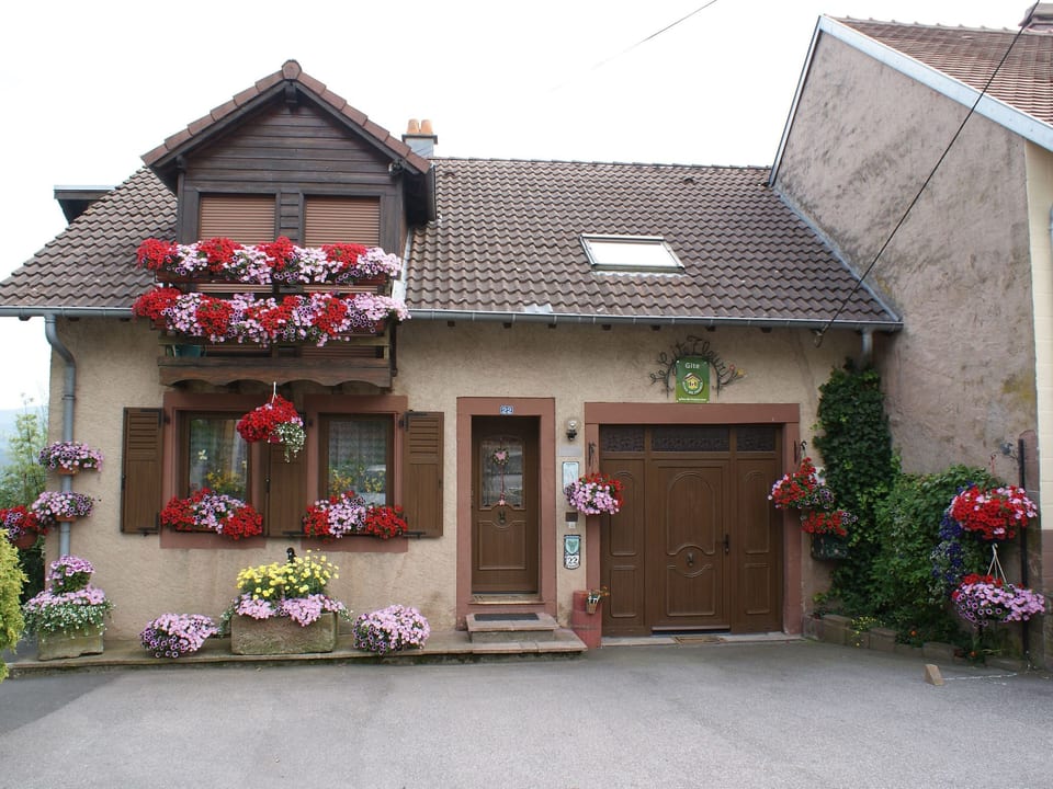 Il Gîte Fleuri con una vista splendida - Haselbourg