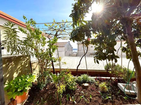 Schönes Appartement mit Terrasse