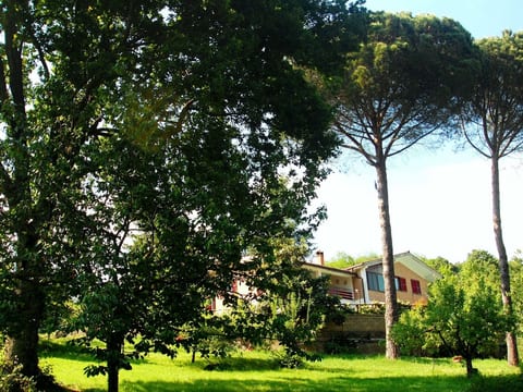 Villa 'Der Kirschbaum'