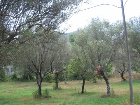 Ferienvilla "Melles" mit privatem Pool