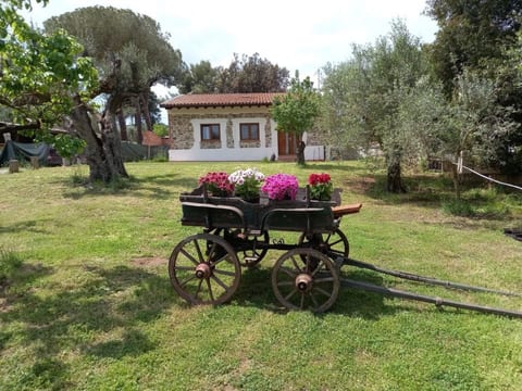 "Giotto" mit Terrasse