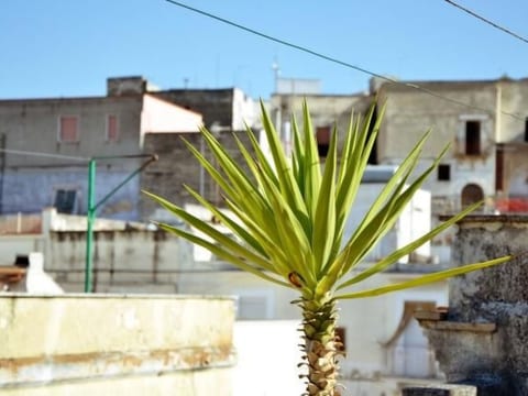 Casa Antica Canosa