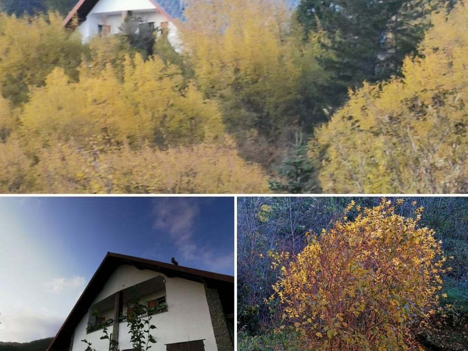 Chalet 'Perle des Höhenweges' - Borzonasca