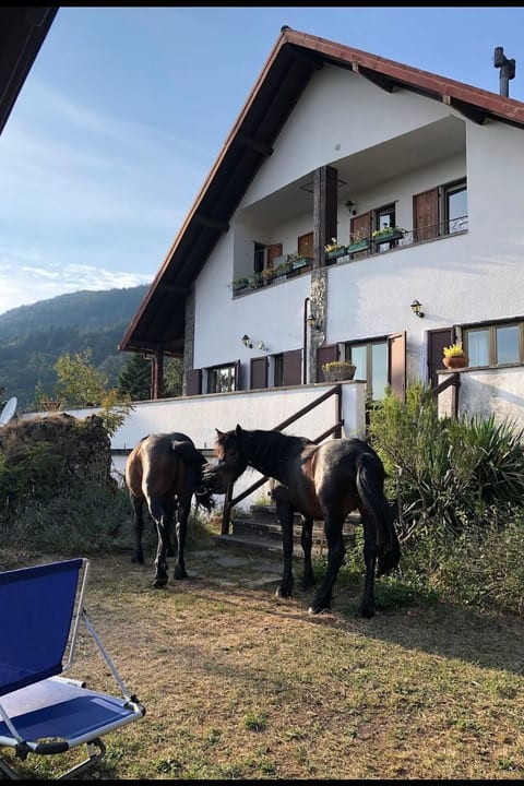 Chalet 'Perle des Höhenweges'