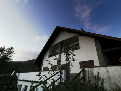 Natur und Entspannung, Villa im Park