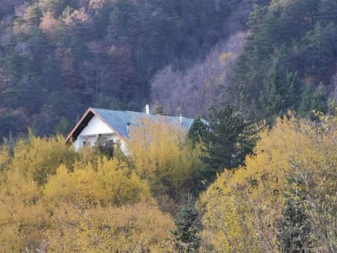 Natur und Entspannung, Villa im Park