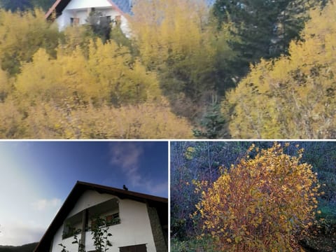 Natur und Entspannung, Villa im Park