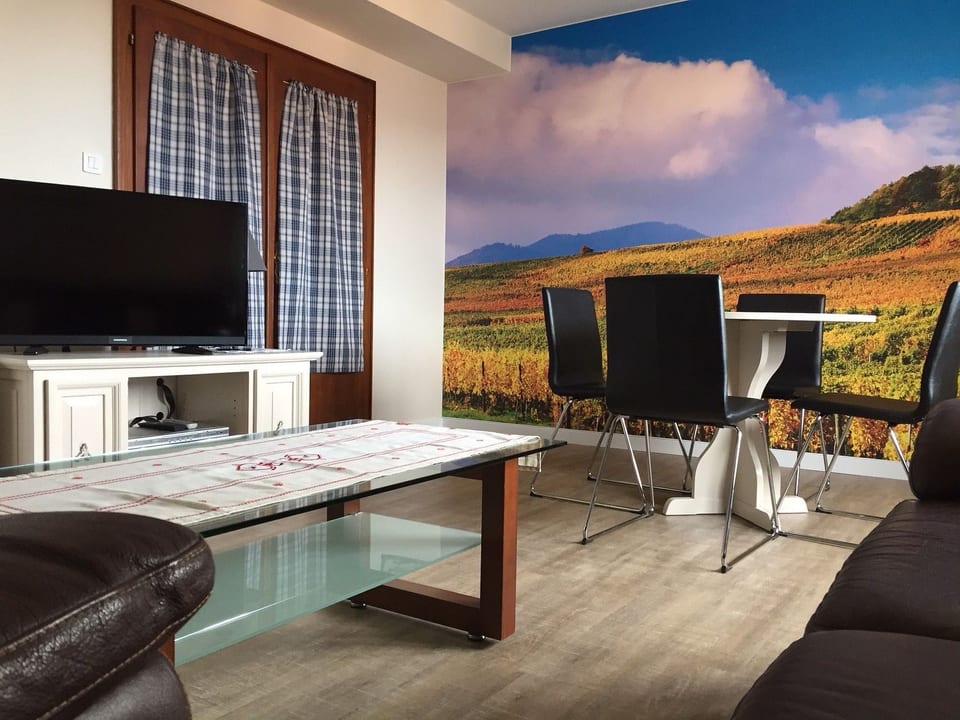 Grande appartamento per vacanze Gite con terrazza - Barr
