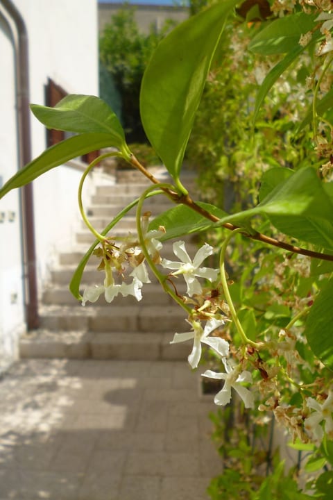 Wohnung in Custonaci mit Kleinem Garten
