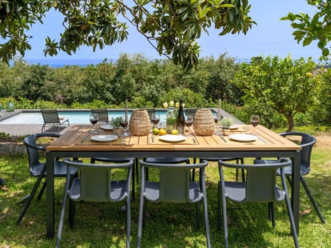Avocado Garten