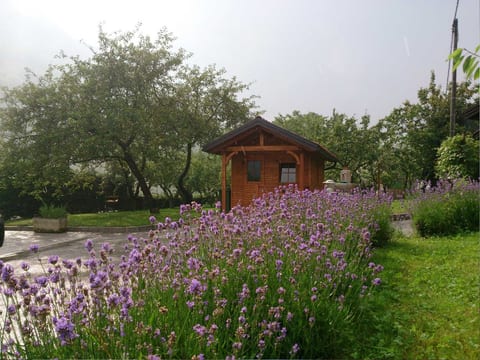 Wohnung Lapanja 2 mit Gemeinschaftsgarten