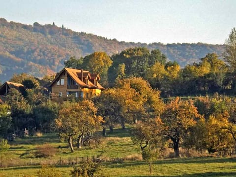 Casa Zollo