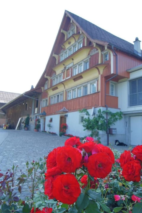 auf dem Bauernhof