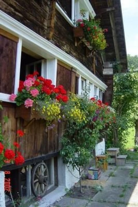 «Hüsli»