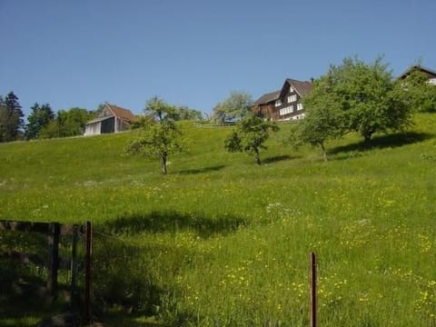 «Hüsli»