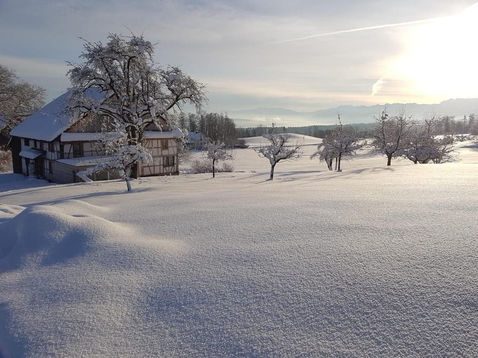 Historisches Riegel-Doppelbauernhaus - Langnau am Albis