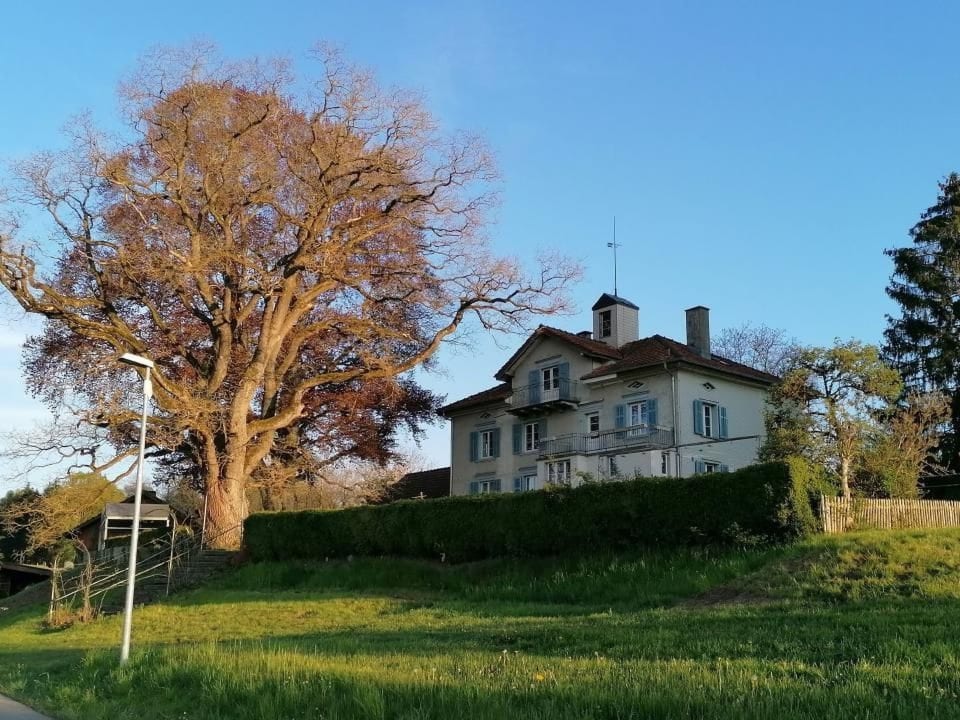 Estudio de vacaciones - 38 m2 - con uso de jardín - Urnäsch