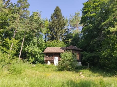 Waldhaus auf Randen