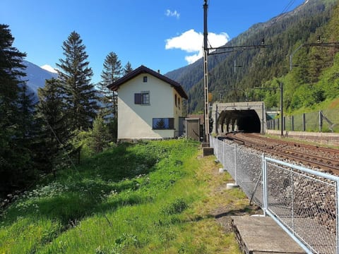 Eggwald